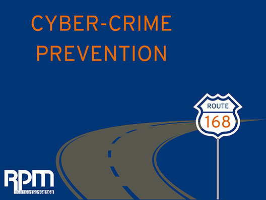 Cybercrime Prevention Infographic