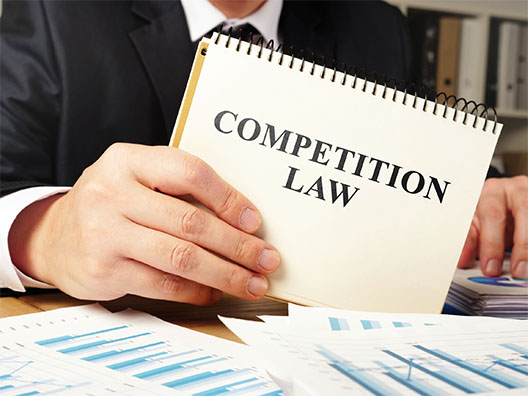 Competition Law