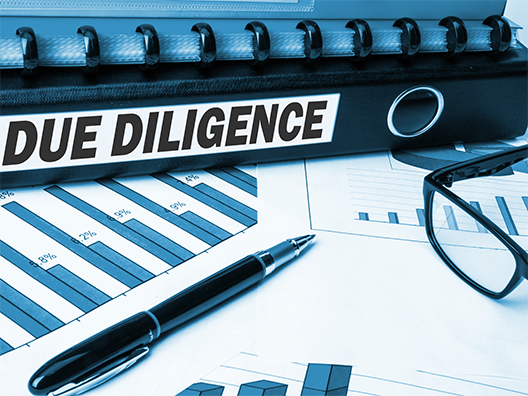 Due Diligence Manual